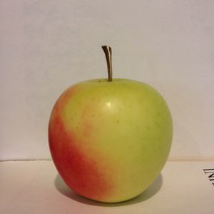 Meet your Posher, Zee